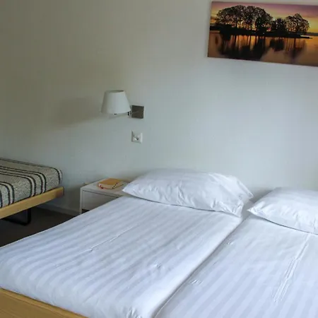 柯莱特贝拉尔酒店 3* Puidoux