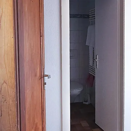 柯莱特贝拉尔酒店 3* Puidoux